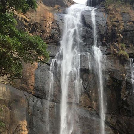 Coastal Grand Mahendravanam - Kolli Malai Eksteriør bilde